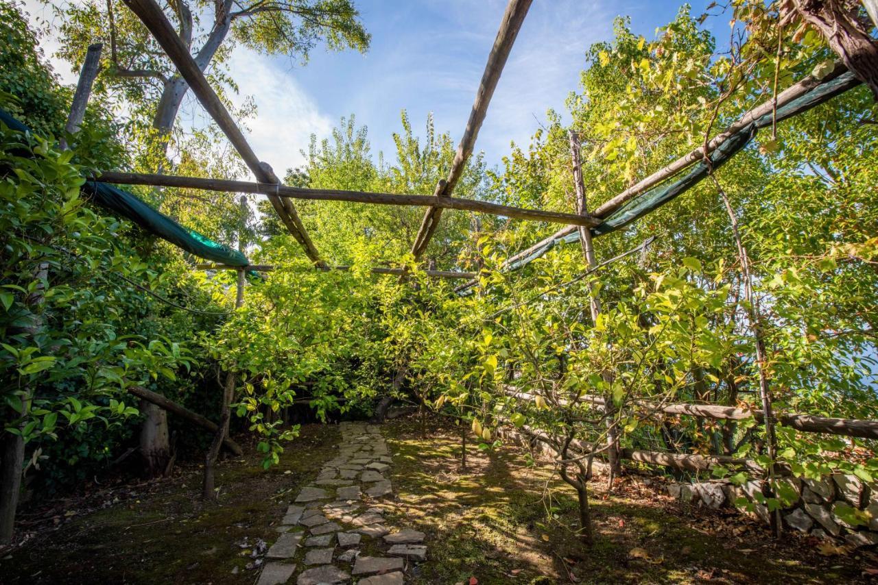 ソレント Casa Angelicaヴィラ エクステリア 写真