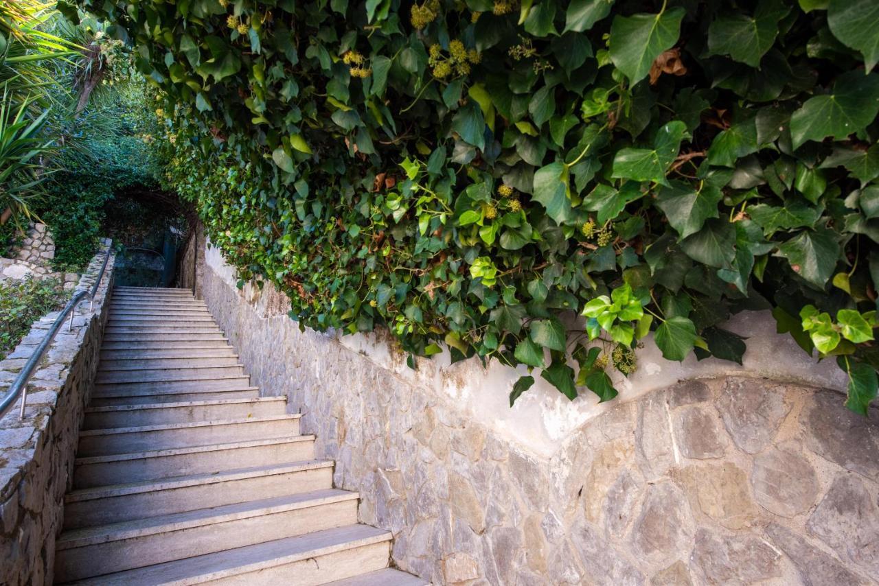 ソレント Casa Angelicaヴィラ エクステリア 写真